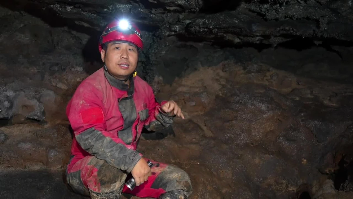Çin\'deki Shuanghe Mağarası\'nda 40 dev panda kalıntısı bulundu