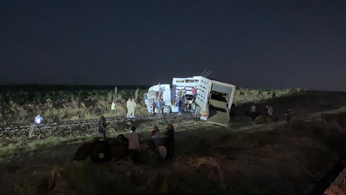 Diyarbakır\'da Yük Treni ile Tır Çarpıştı: Sürücü Ağır Yaralandı