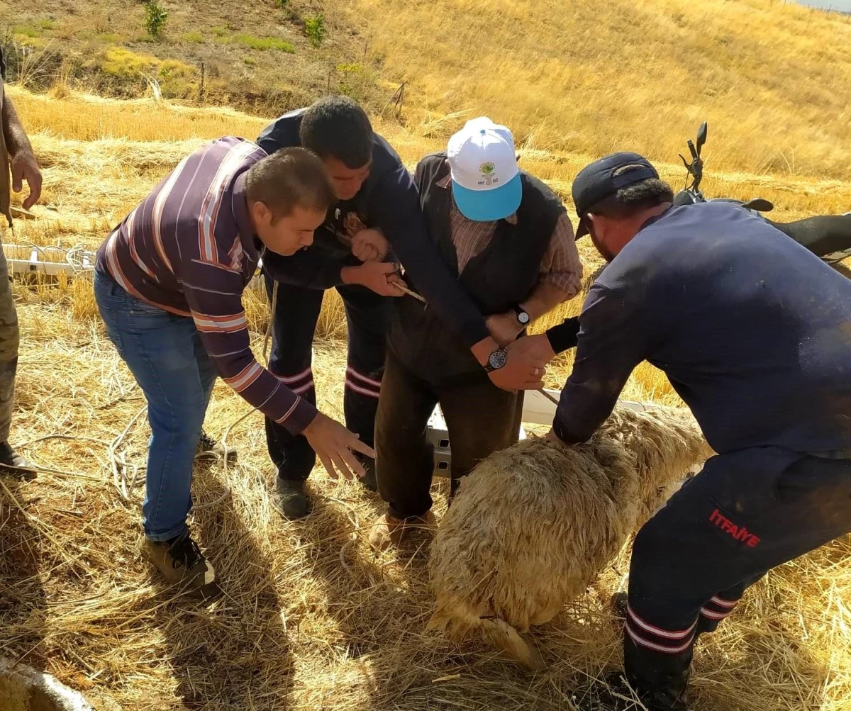 Konya\'da Kuyuya Düşen Koyun İtfaiye Tarafından Kurtarıldı