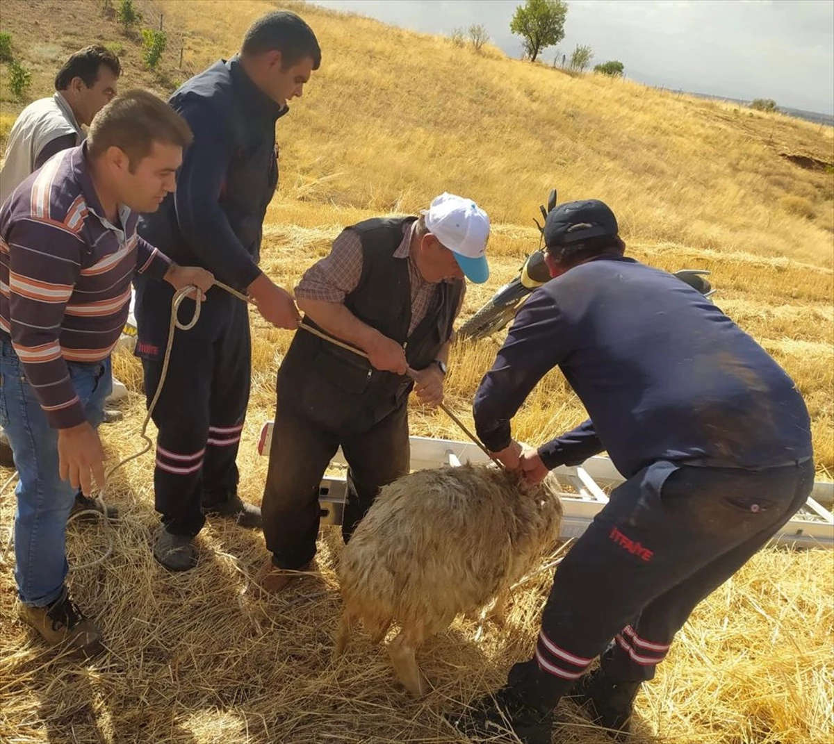 Konya\'da Kuyuya Düşen Koyun İtfaiye Tarafından Kurtarıldı