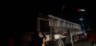 İznik Gölü'ne 2 milyon 200 bin sazan salındı