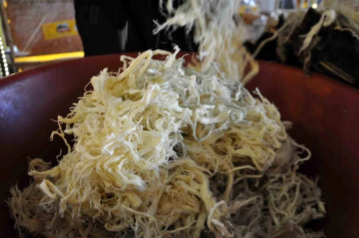 Kars\'ta Tuluk Peyniri Meşhur Kars Kaşarı ile Aynı Fiyata Alıcı Buluyor