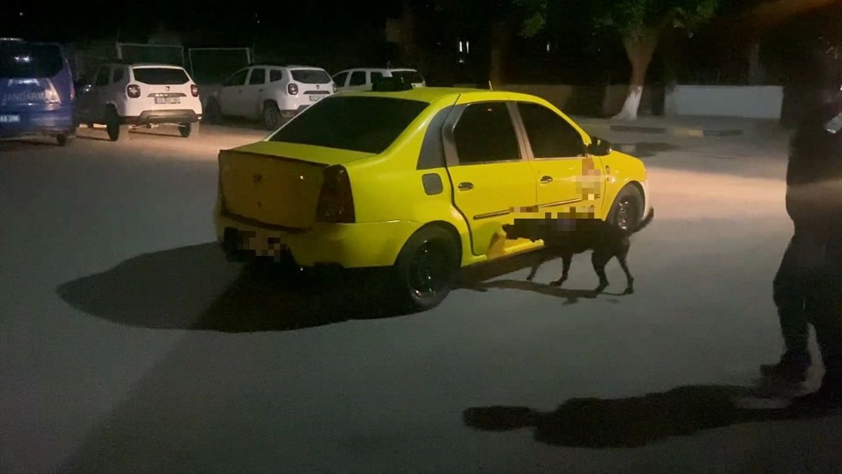 Mersin\'de 30 tabanca ele geçirildi, 1 şüpheli tutuklandı