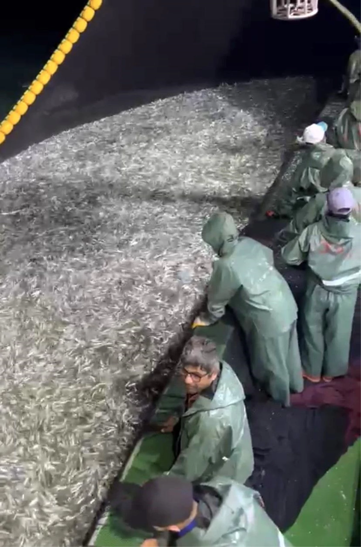 Çanakkale\'de Gırgır Teknesi Rekor Sardalya Avına İmza Attı