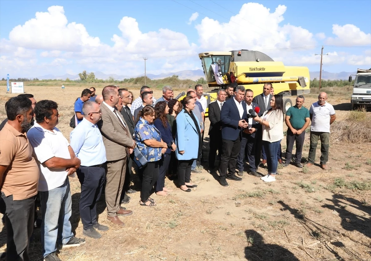 KKTC\'de TİKA ve Tarım Bakanlığı işbirliğiyle mısır hasadı gerçekleştirildi