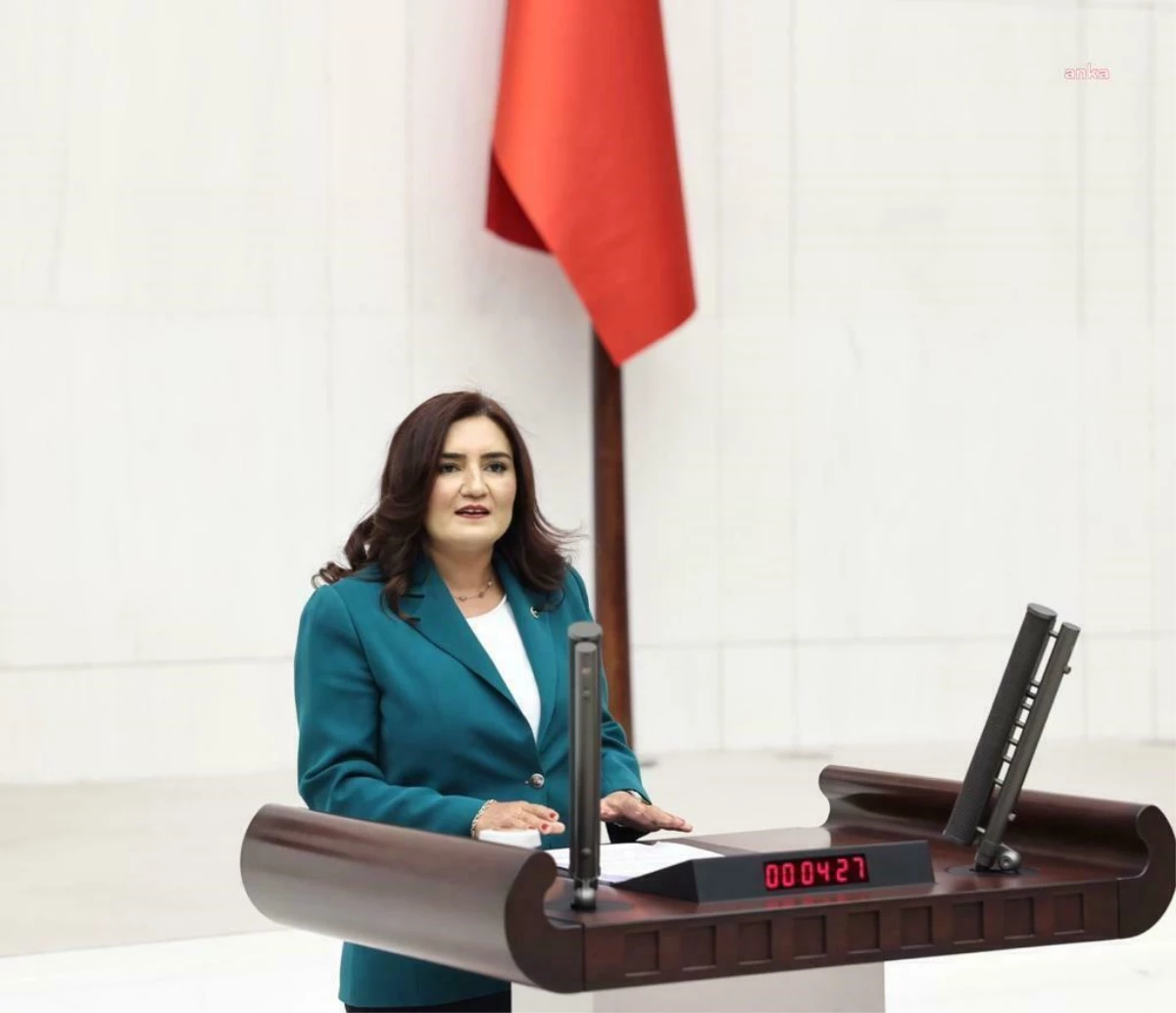 CHP Milletvekili Sevda Erdan Kılıç, Tacizci Şahsın Serbest Bırakılmasına Tepki Gösterdi