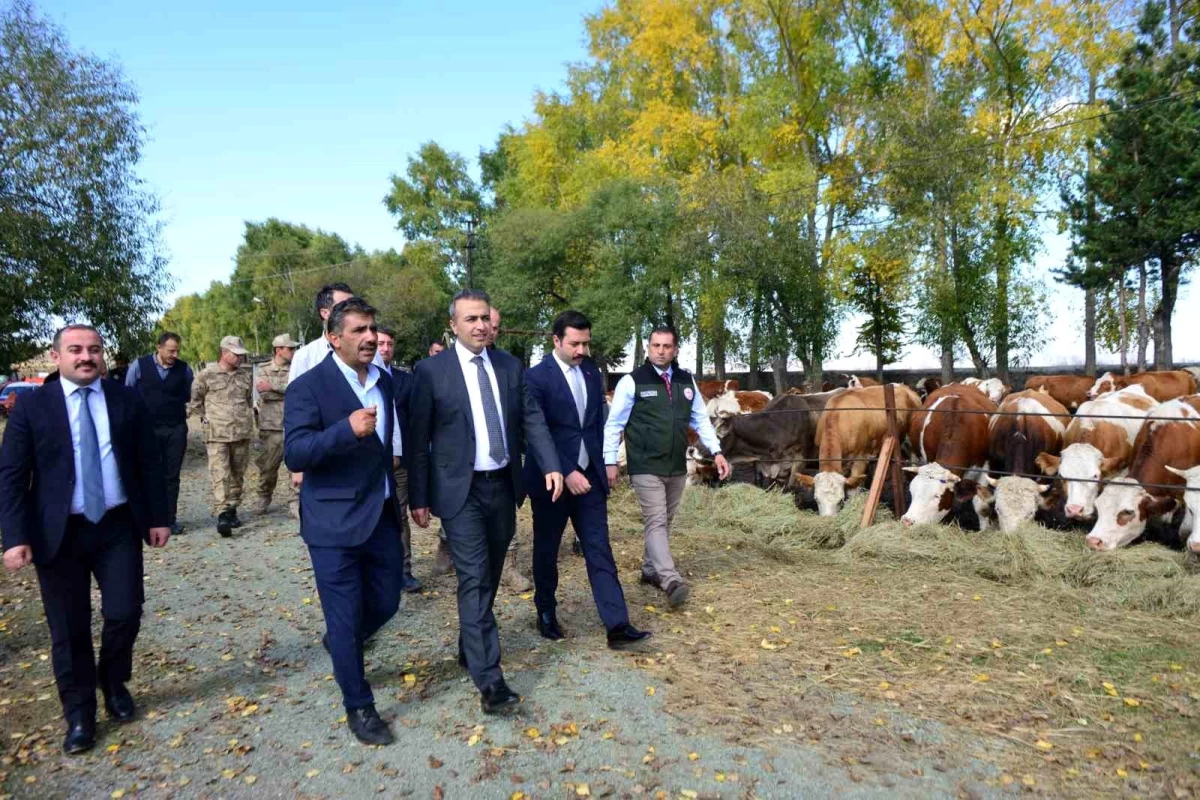 Ardahan Valisi Çiçek, TİGEM\'e bağlı sığırcılık tesisini ziyaret etti