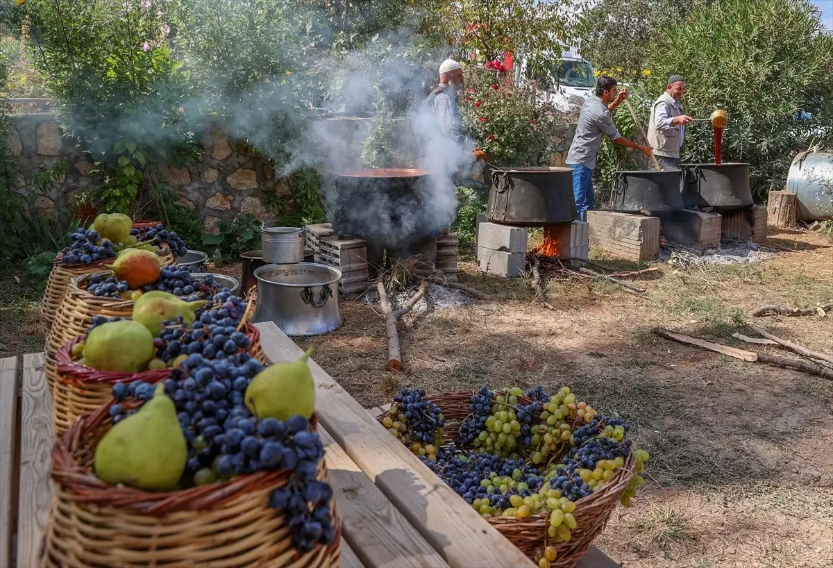 Diyarbakır\'da düzenlenen bağ bozumu şenliğinde dengbejler türkü söyledi