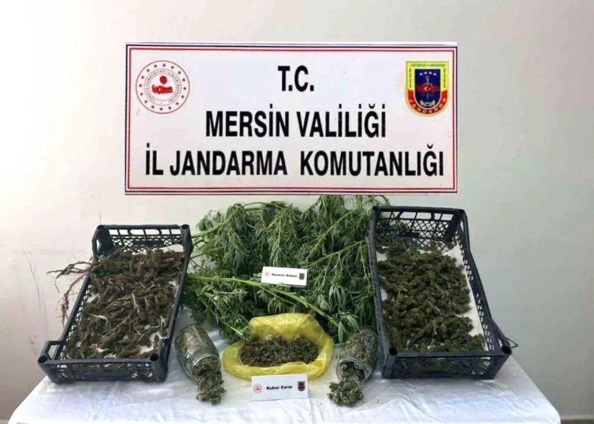 Mersin\'de Uyuşturucu Operasyonu: 3 Gözaltı