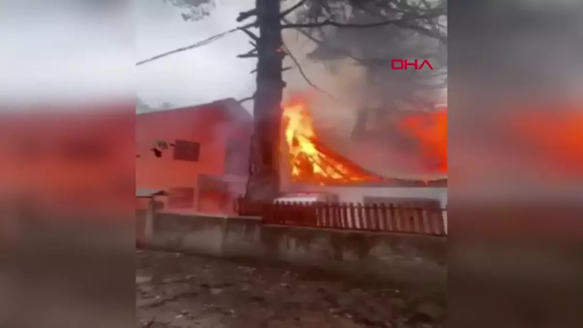 Osmaniye\'de yıldırım düşen ağaç yangını kontrol altına alındı