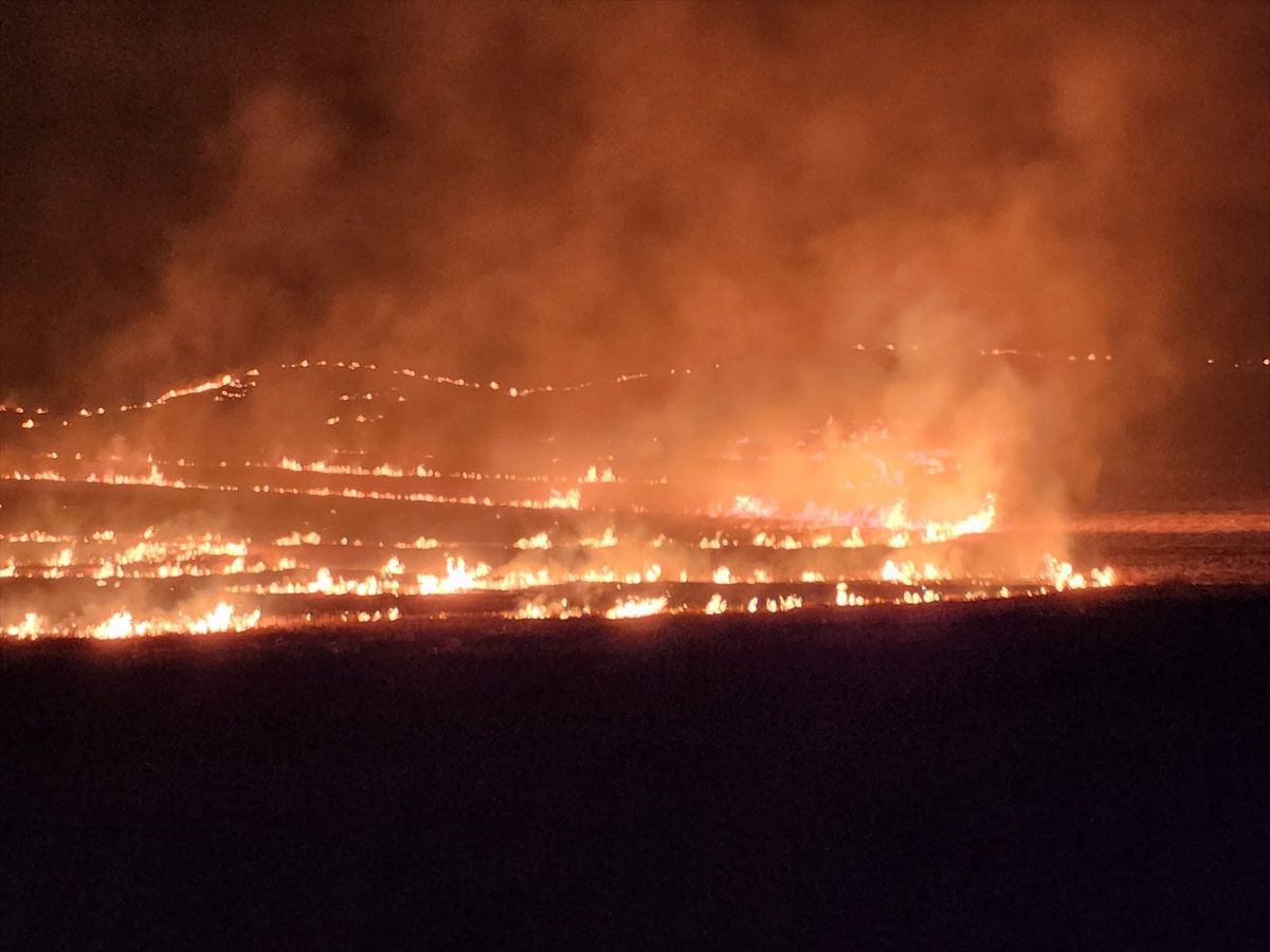 Siirt\'te anız yangını kontrol altına alındı