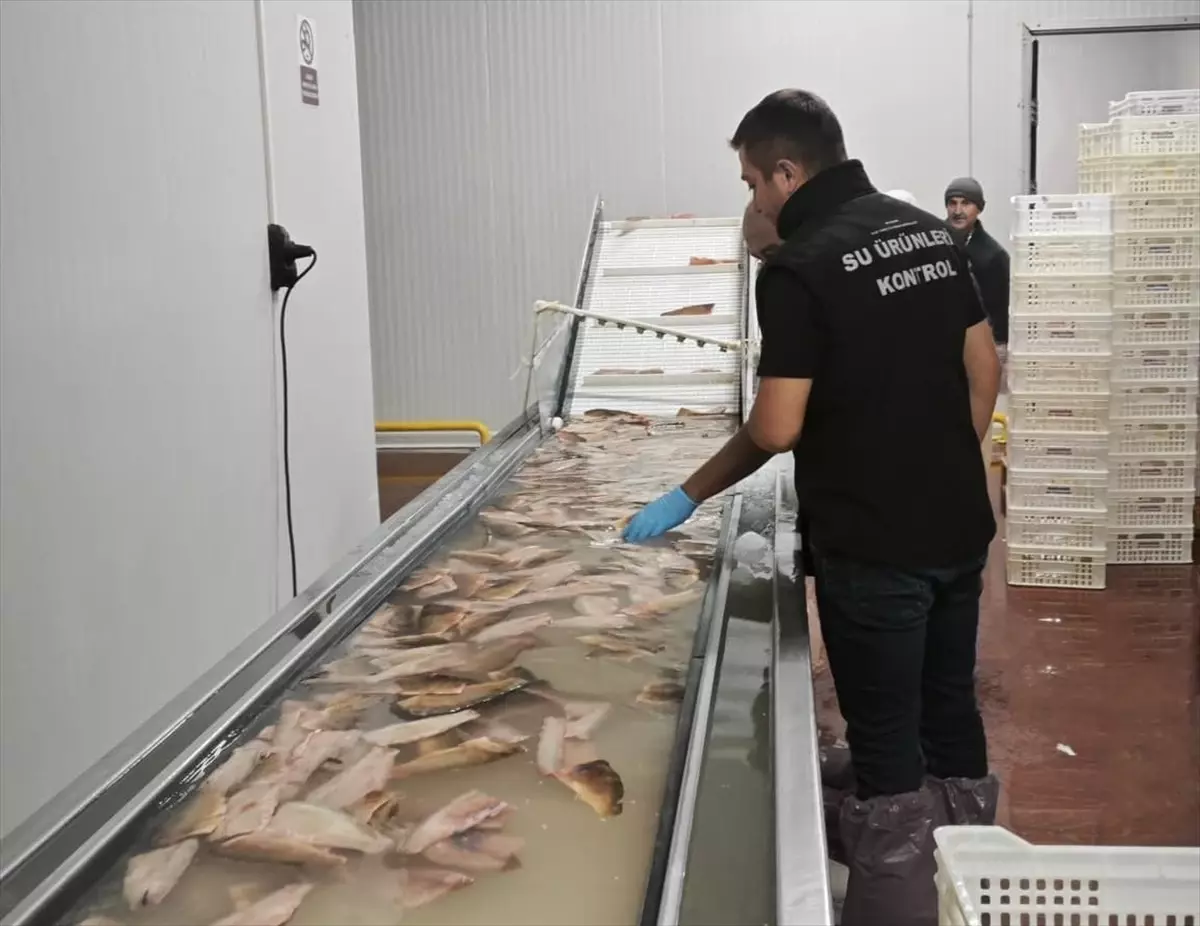 Beyşehir\'de Balıkçılık Denetimleri Sürüyor