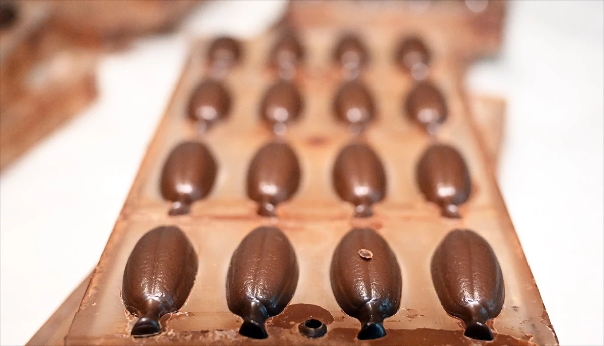 DOSYA HABER/AVRUPA\'NIN LEZZETLERİ - Serüveni eczanede başlayıp ünü dünyaya yayılan Belçika çikolatası