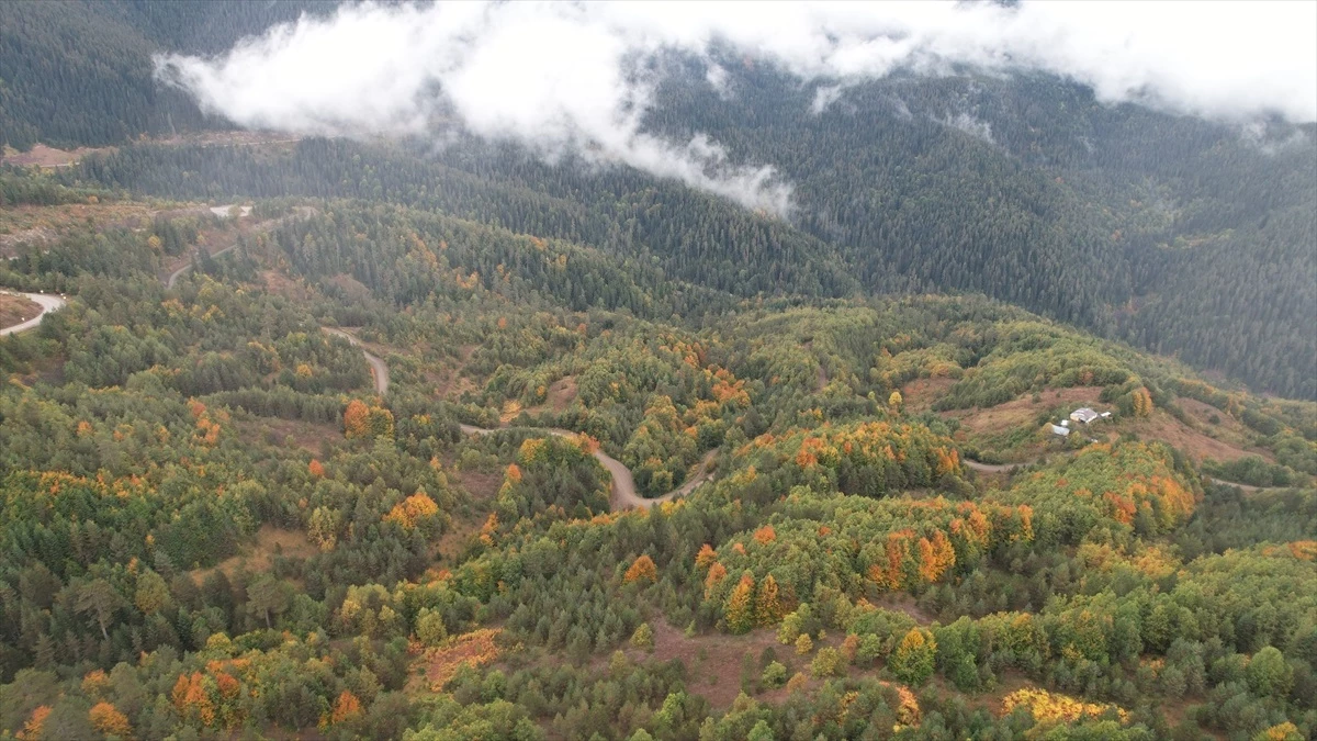 Kastamonu\'da Sonbahar Renkleri