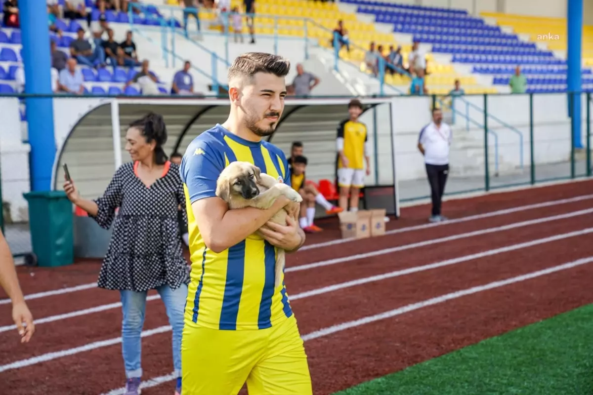 Seferihisarlı Futbolcular, Köpeklerle Maça Çıktı