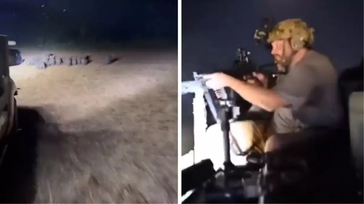 Tarlalarını ve mahsullerini korumak isteyen köylüler, domuz sürüsünü gafil avladı