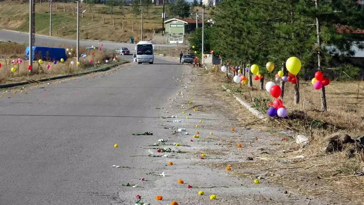 Tavşanlı\'da Cadde Çiçeklerle Süslendi