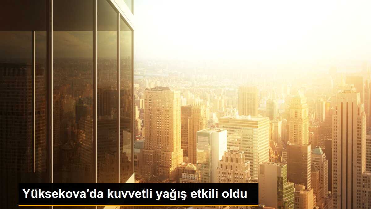 Yüksekova\'da kuvvetli yağış etkili oldu
