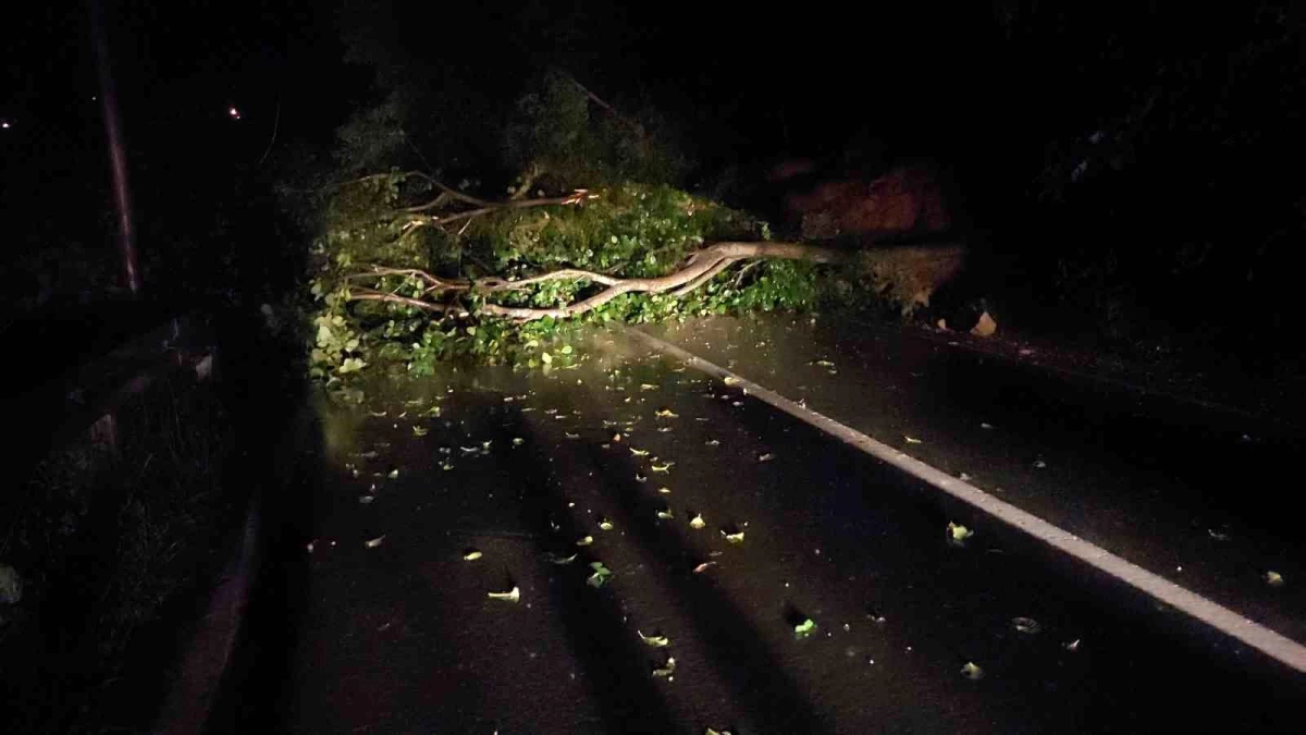 Rize\'de Heyelan ve Sel Felaketi: Yollar Trafiğe Kapandı