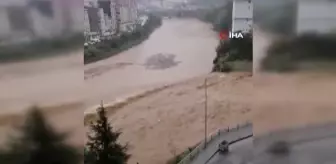 Artvin'de dereler taştı, köy yolları ulaşıma kapandı