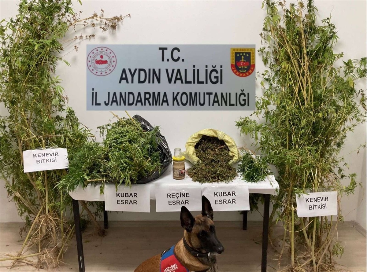 Aydın\'daki uyuşturucu operasyonunda 1 kişi gözaltına alındı