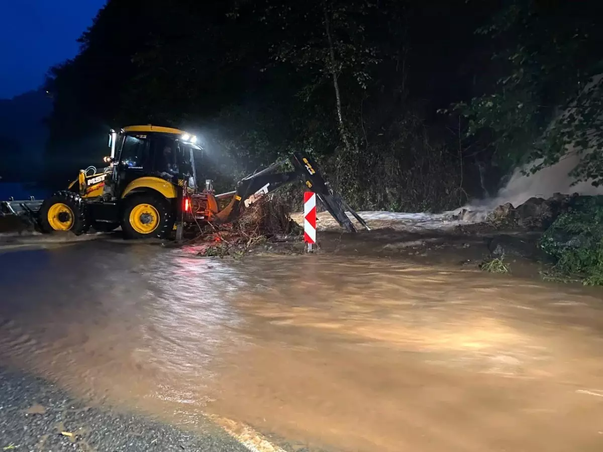 Artvin\'de Sel ve Heyelanlar: Karayolunda Ulaşım Aksadı