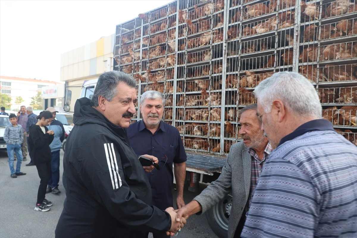 Cihanbeyli Belediyesi 800 aileye kümes hayvanı desteği sağladı
