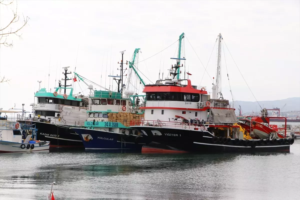 Marmara Denizi\'nde Hamsi Bolluğu: Balıkçılar Tekirdağ\'a Akın Ediyor