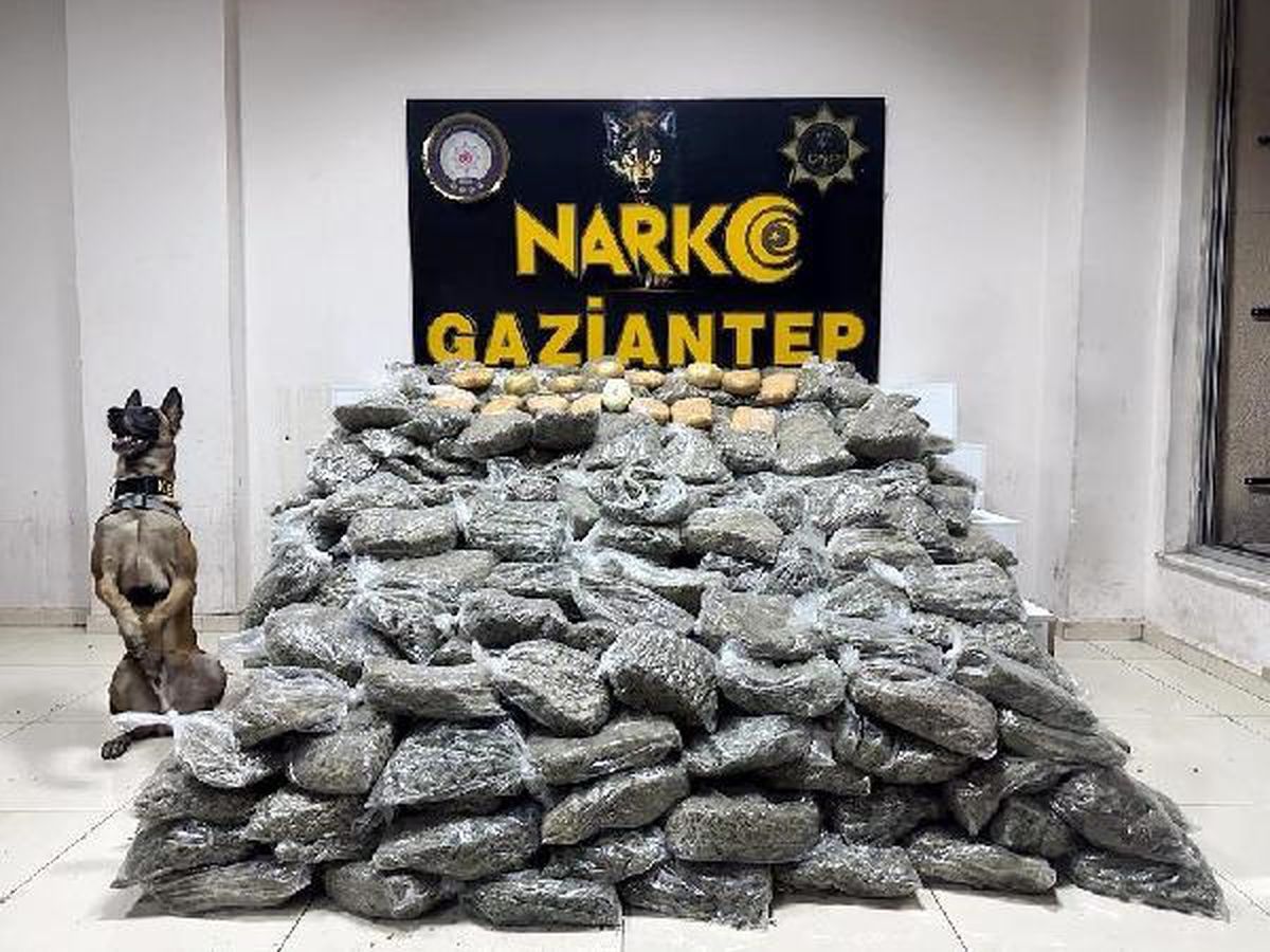 Gaziantep'te Narkotik Operasyonu: 170 Kilo Skunk ve 8,5 Kilo Esrar Ele Geçirildi
