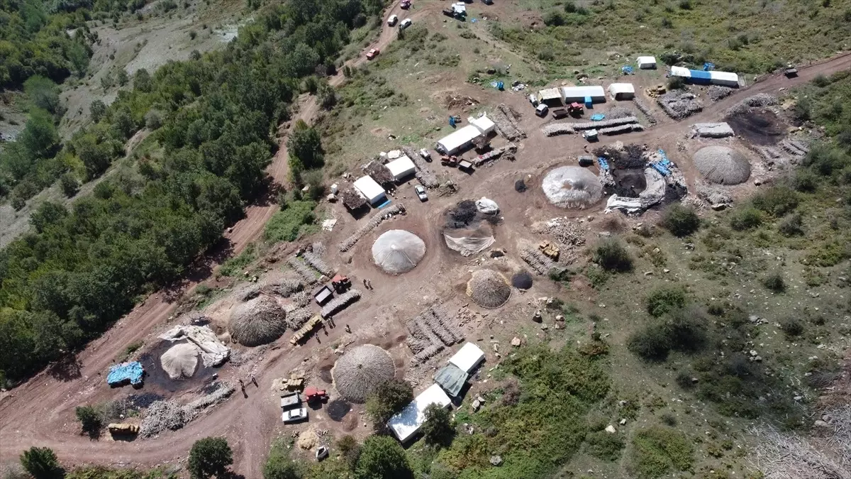 Orman yapısıyla uyumsuz ağaçlar mangal kömürüne dönüştürülerek ekonomiye kazandırılıyor