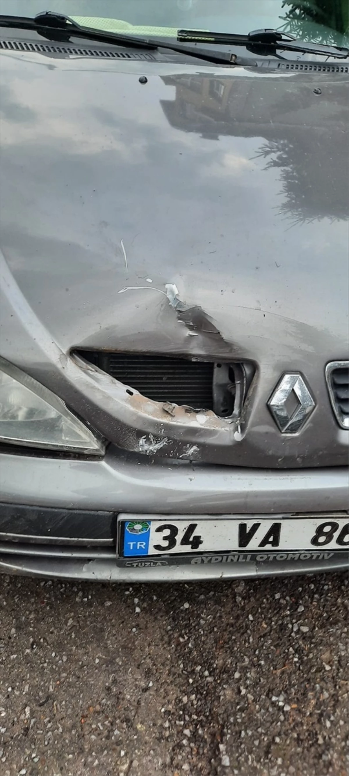 Trabzon\'da Ayı Saldırısı: Otomobil Hasar Gördü
