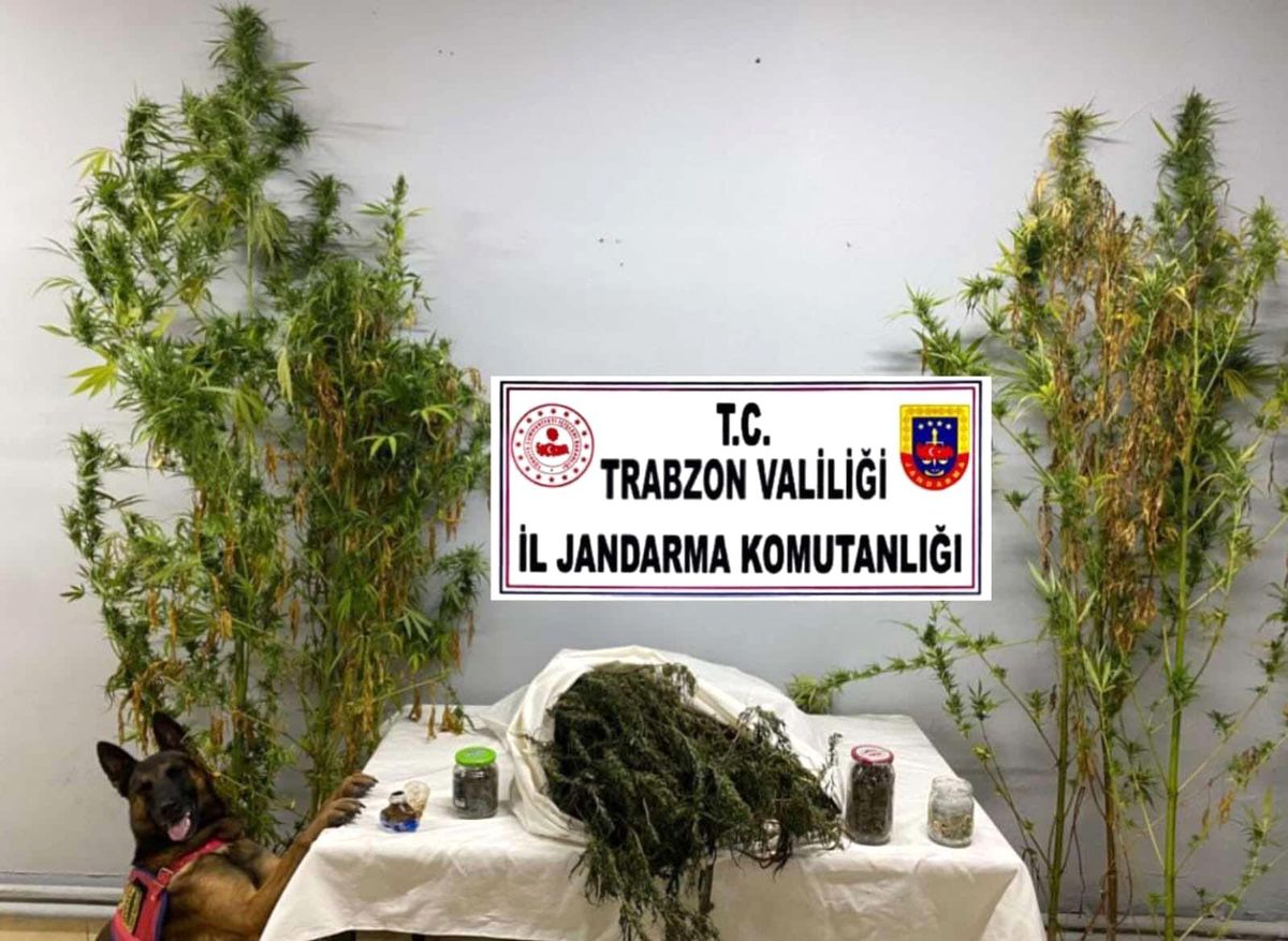 Trabzon\'da Uyuşturucu Operasyonu: 3 Şüpheli Gözaltına Alındı