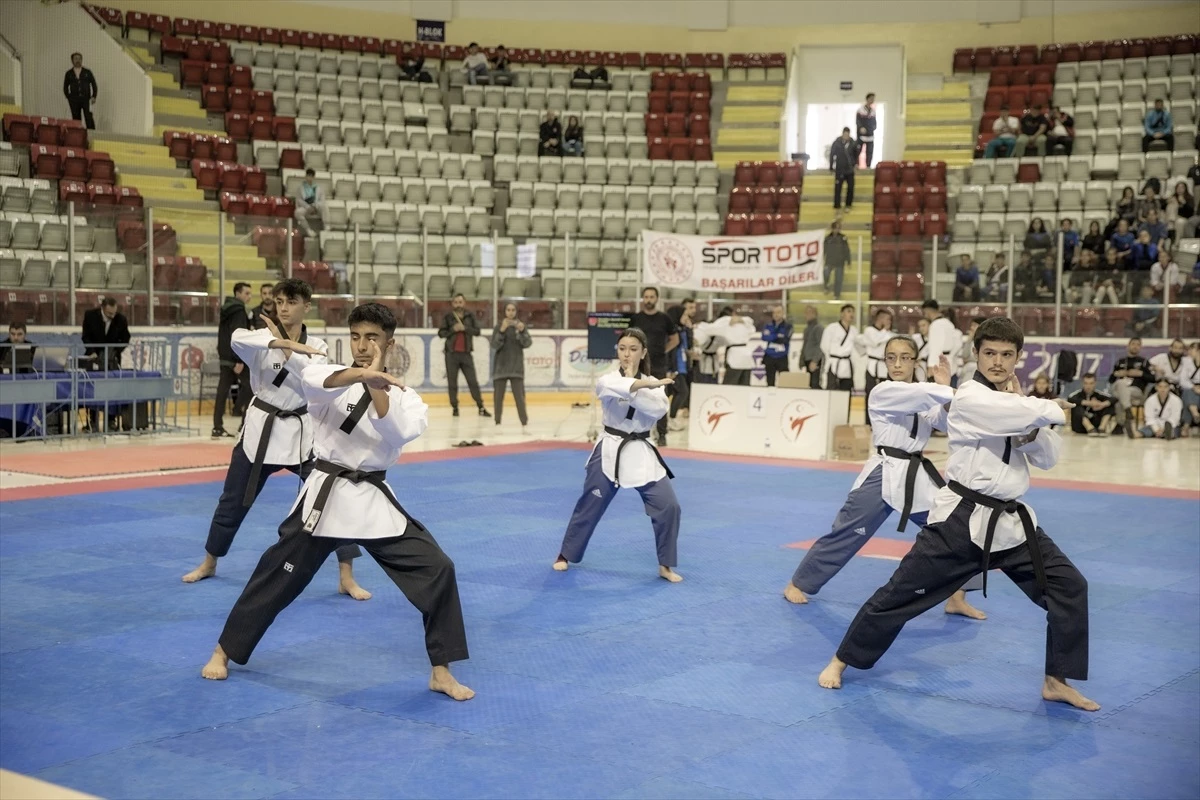 Erzurum\'da Türkiye Tekvando Poomsea Şampiyonası Başladı