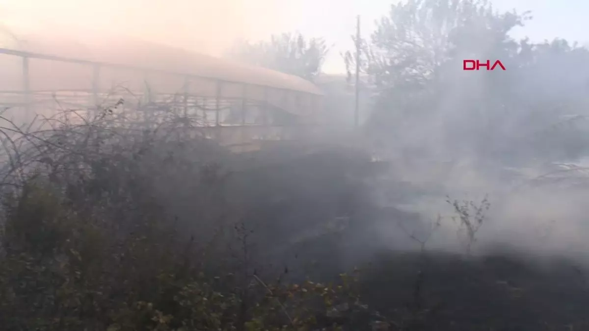 Antalya\'da çalılık alanda çıkan yangın kontrol altına alındı