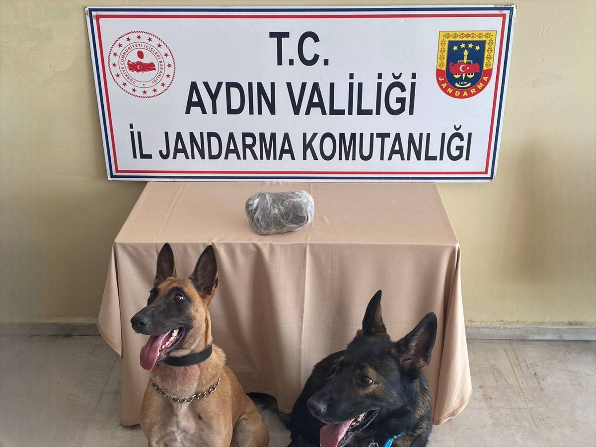 Aydın\'da yolcu otobüsünde uyuşturucu operasyonu