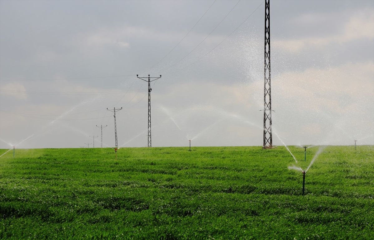 DEPSAŞ Enerji, Mardin\'deki tarımsal sulama abonelerine uyarıda bulundu