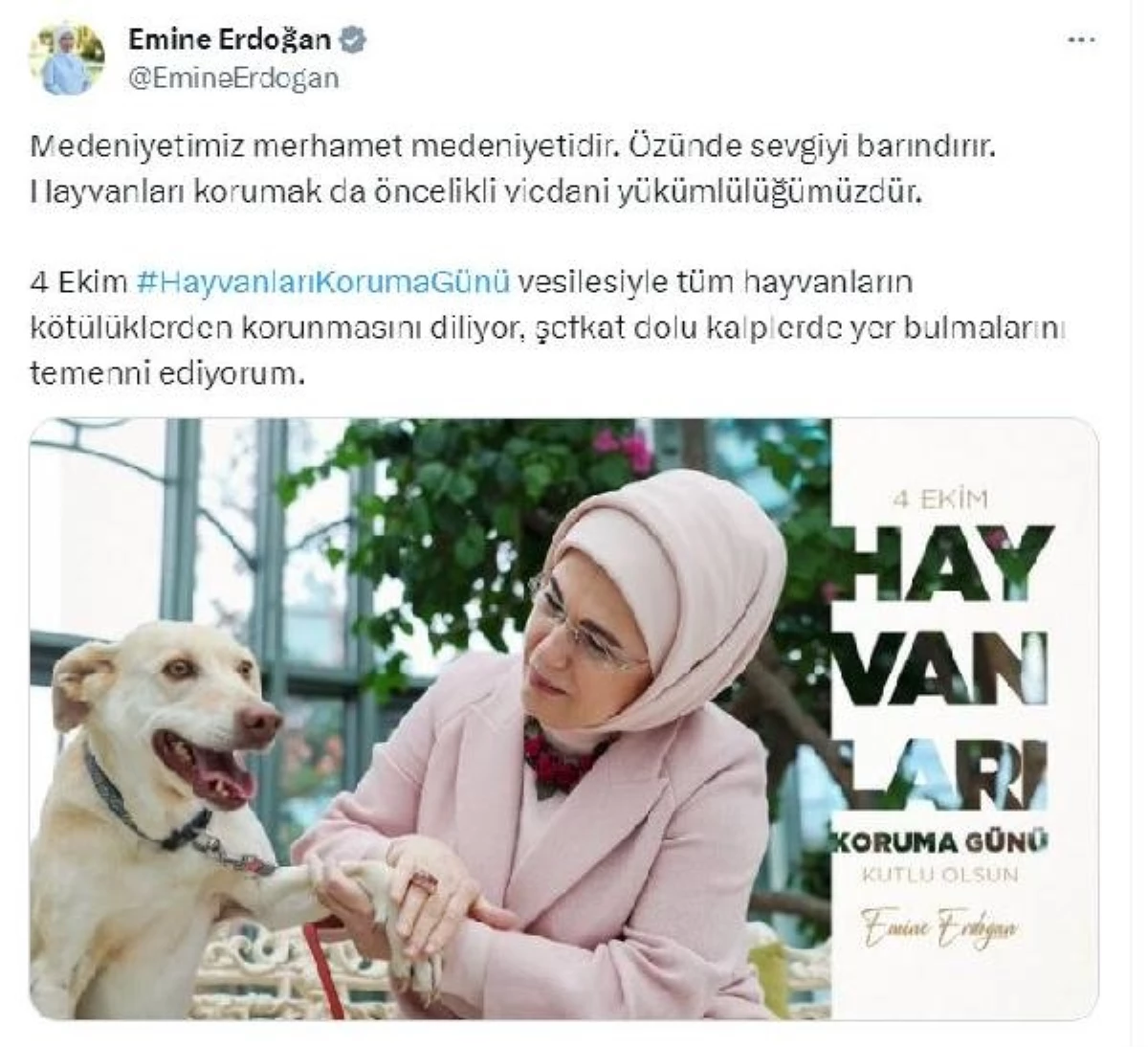 Emine Erdoğan: Hayvanları korumak vicdani yükümlülüğümüzdür