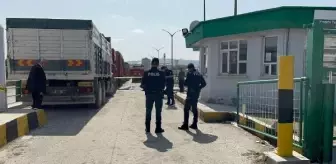 Eskişehir'de Silahlı Kavga: 3 Kişi Yaralandı