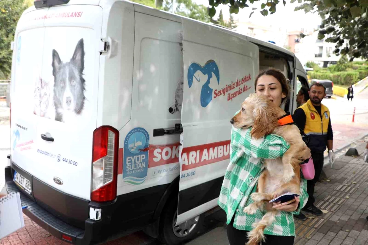 Eyüpsultan Belediyesi Sokak Hayvanları Ambulansı Hizmet Vermeye Devam Ediyor