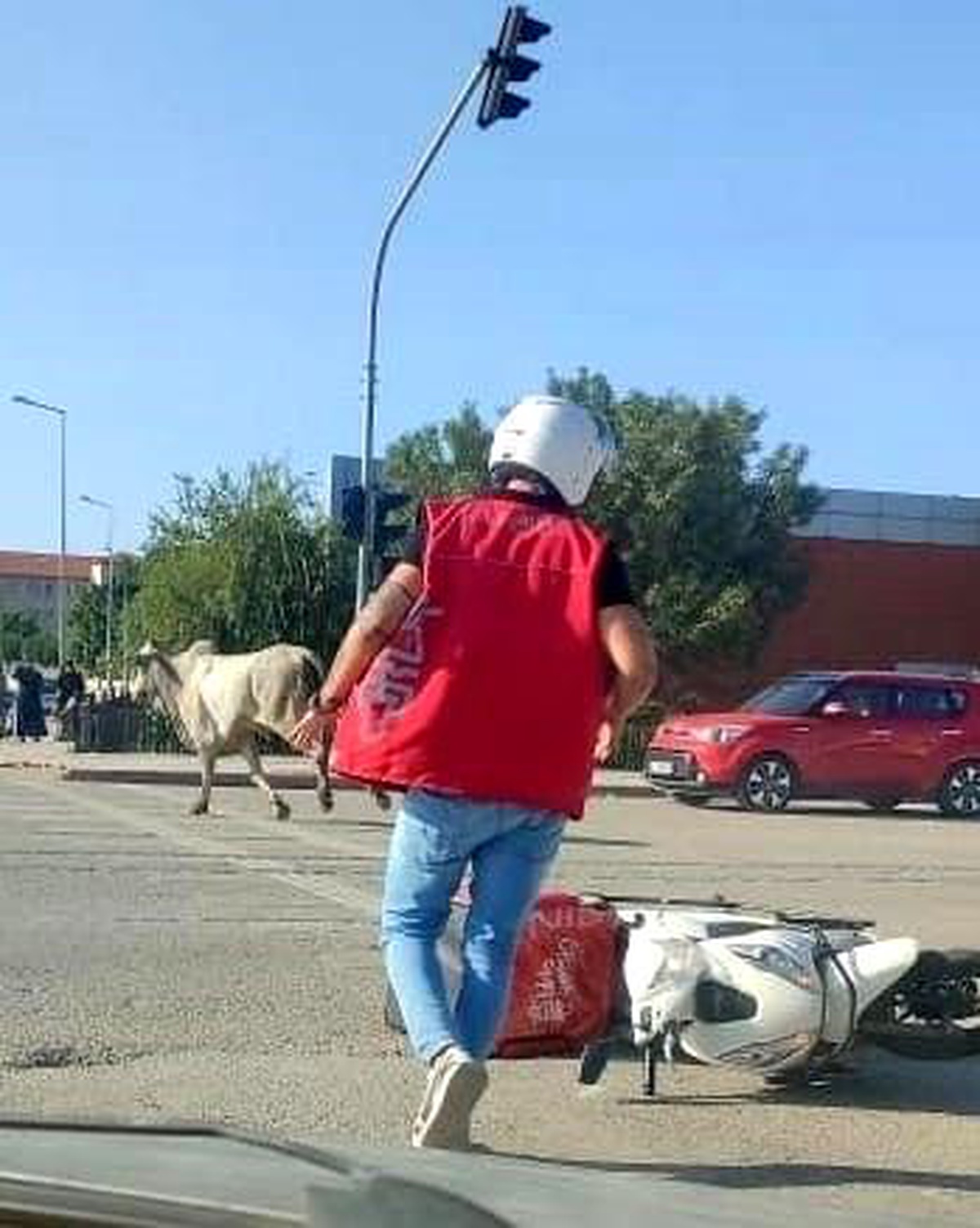 İskenderun\'da başıboş büyükbaş motosikletliye çarptı