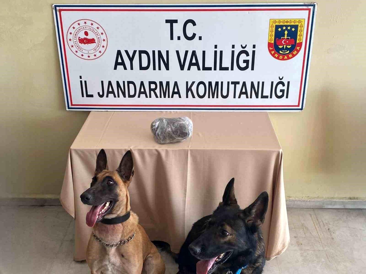 Aydın\'da yolcu otobüsünde uyuşturucu operasyonu