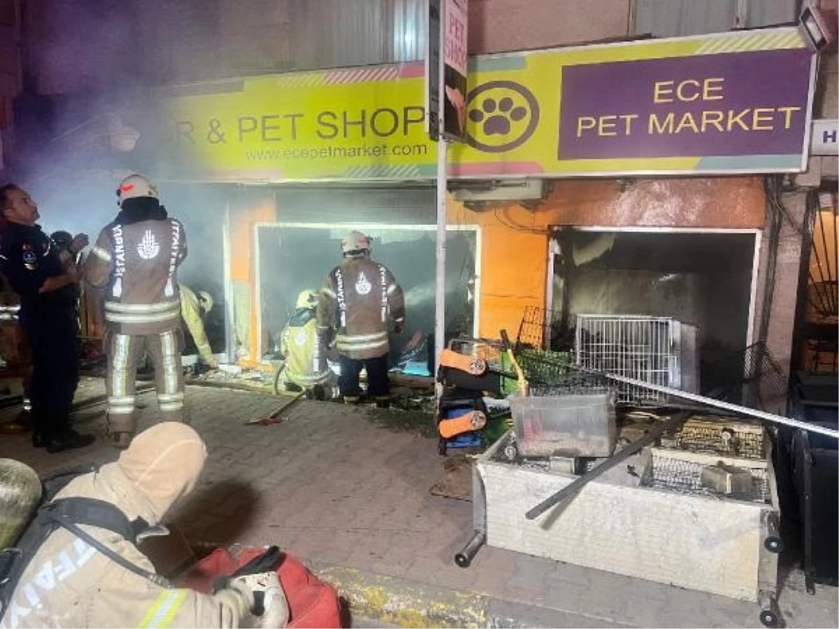 Maltepe\'de Petshop Yangınında Muhabbet Kuşları Öldü, Köpek Kurtuldu