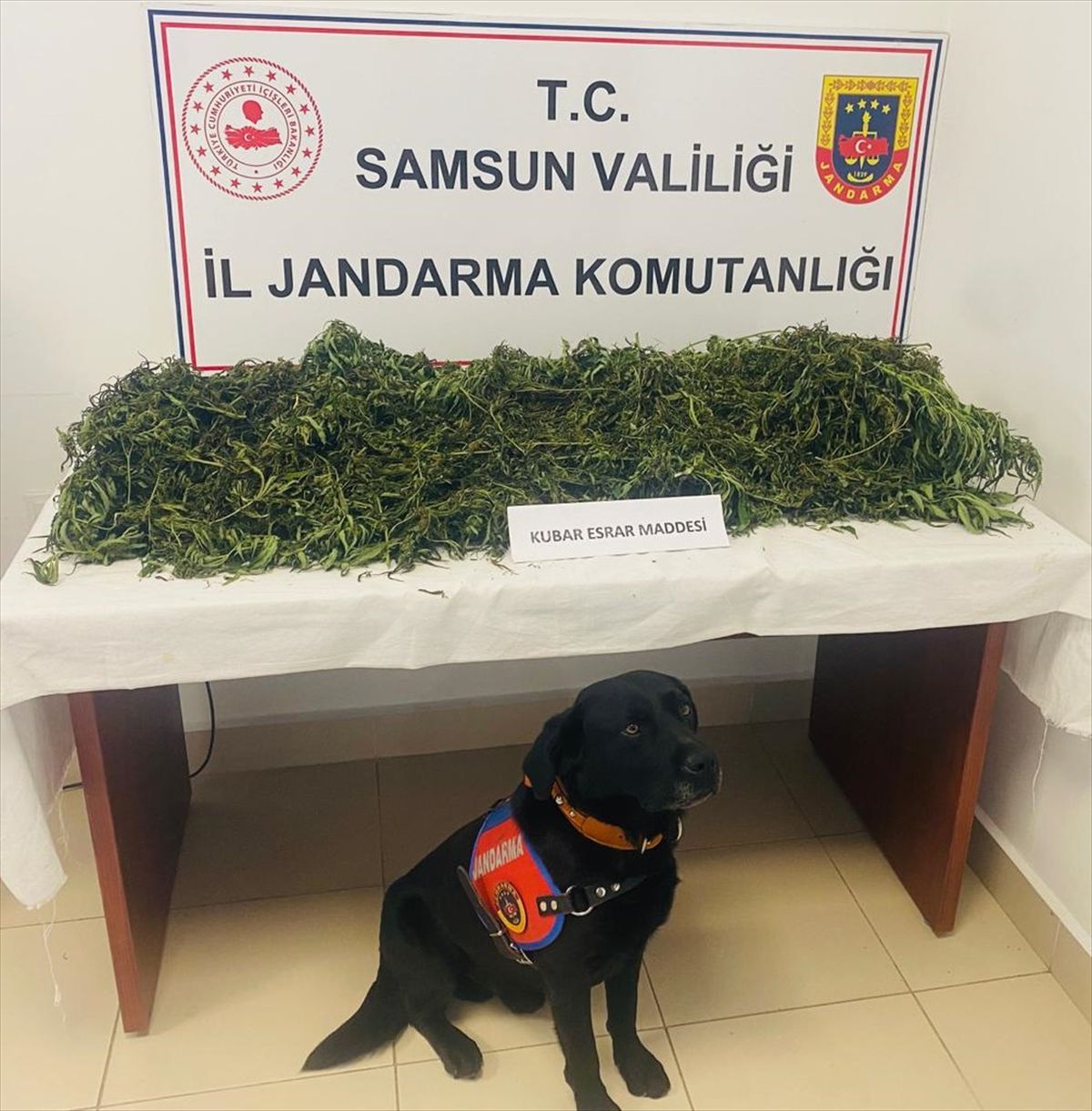 Samsun\'da uyuşturucu operasyonu: 4 şüpheliden 1\'i tutuklandı