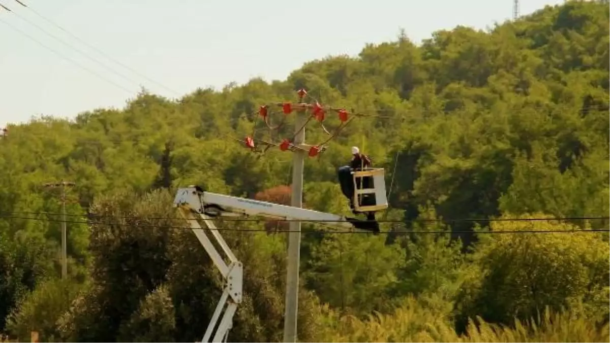Toroslar EDAŞ, Yüksek Gerilim Hatlarında Kuş Çarpılmalarını Önlemek İçin Projesine Devam Ediyor