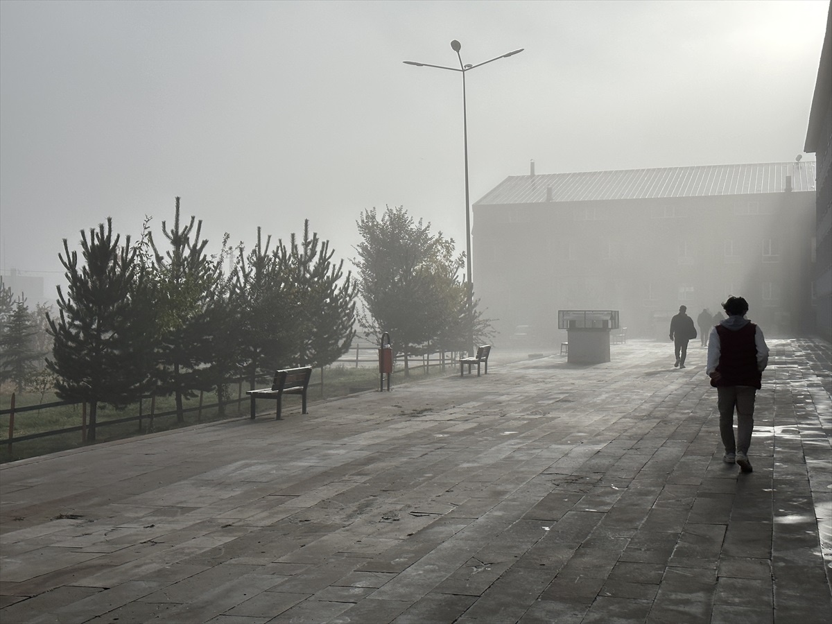 Ağrı ve Kars\'ta Kar Yağışı, Erzurum\'da Sis Etkili Oldu