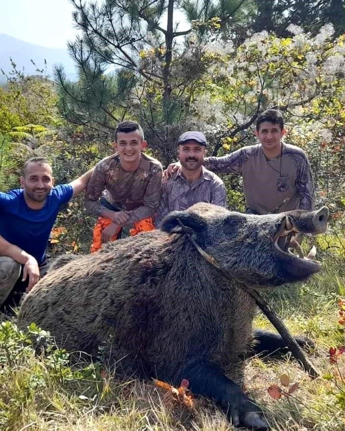 Bartın\'ın köylerinde zarar veren domuz etkisiz hale getirildi