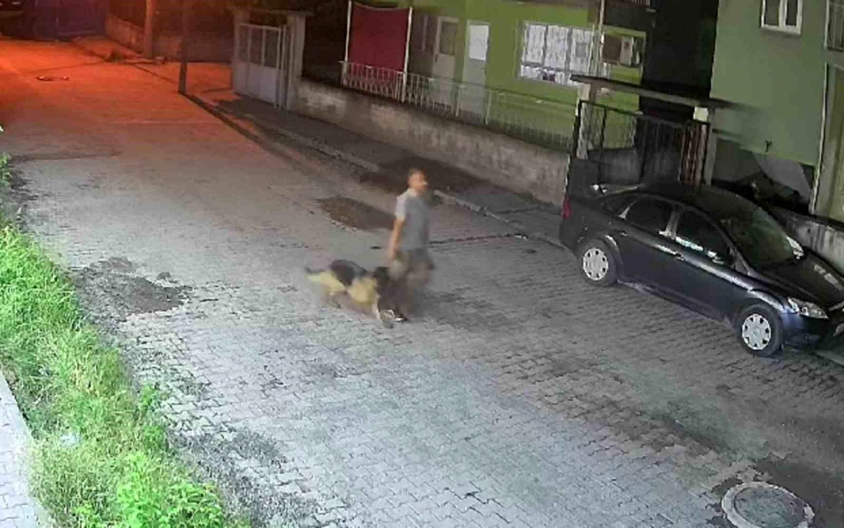 Hatay\'da Çalınan Köpeği Güvenlik Kamerası Yakaladı