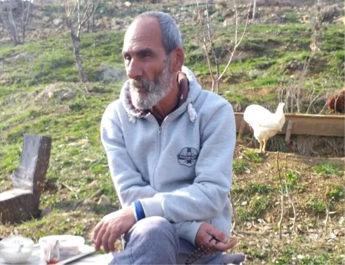 Tunceli\'de Ceviz Toplarken Ağaçtan Düşen Kişi Hayatını Kaybetti