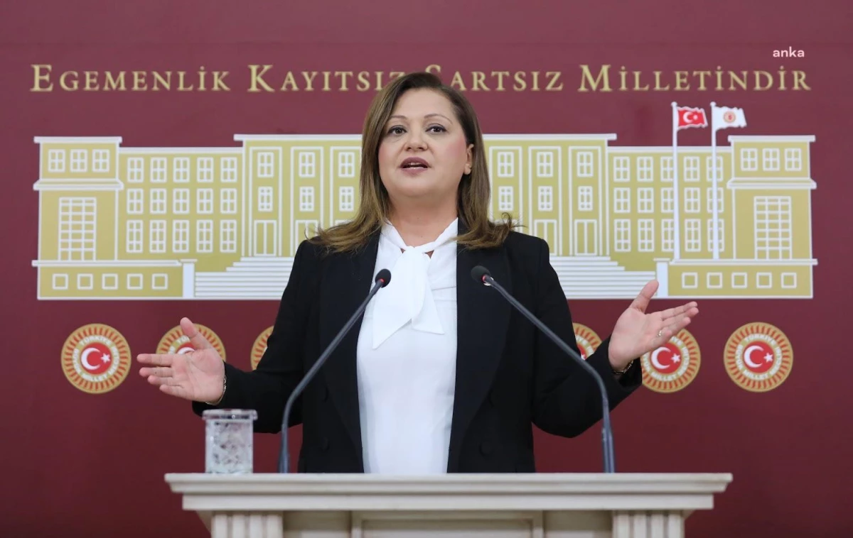 CHP Milletvekilleri Kamu Yatırımlarının Gruplara Verilmesini Araştırmak İçin Önerge Verdi
