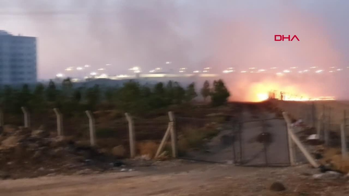 Diyarbakır\'da Şehir Ormanı Yanında Çıkan Yangın Kontrol Altına Alındı
